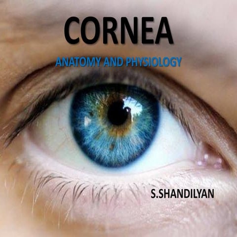 Cornea Anatomy and Physiology