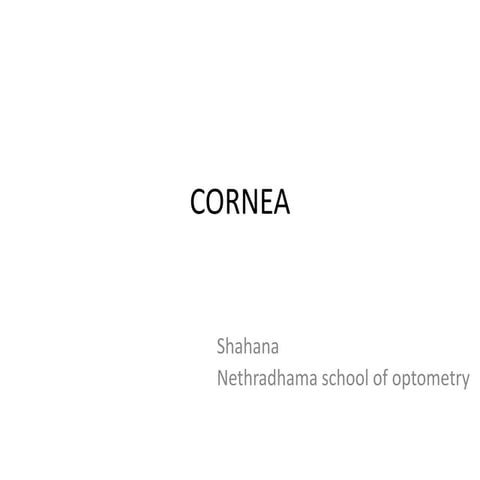 Cornea