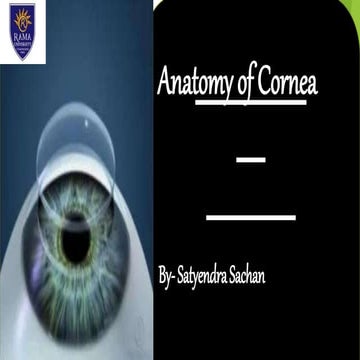 Anatomy of cornea