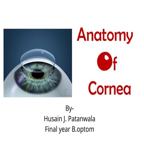ANATOMY OF CORNEA CLINICAL FEATURES .ppt