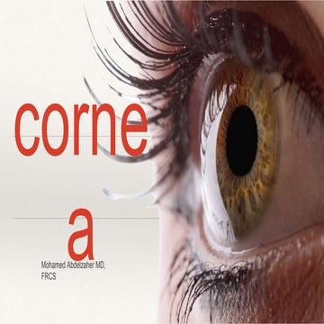Cornea 1