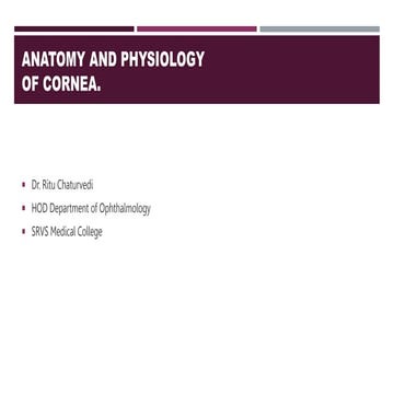 Cornea anatomy and physiology PowerPoint presentation