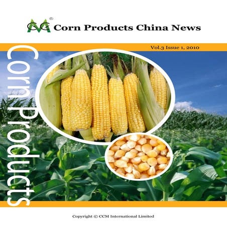 Corn Products China News-2010_Sample Issue | PDF