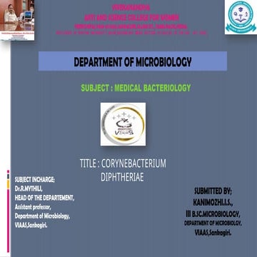 CORNYBACTERIUM DIPHTHERIA IN MEDICAL BACTERIOLOGY pptx