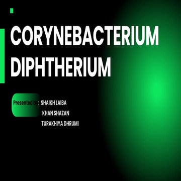 cornybacterium diphtherium pathology bacteria