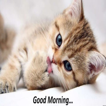 Coronal advanced flap in combination with a connective tissue graft. Is the t...