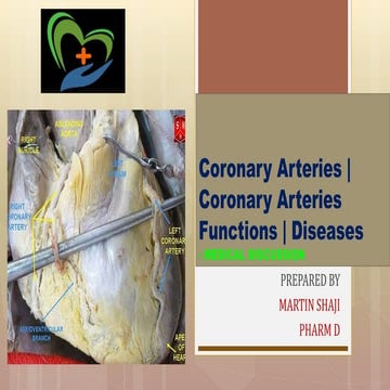 Coronary arteries |Coronary Arteries Functions | Diseases- medical discussion. 