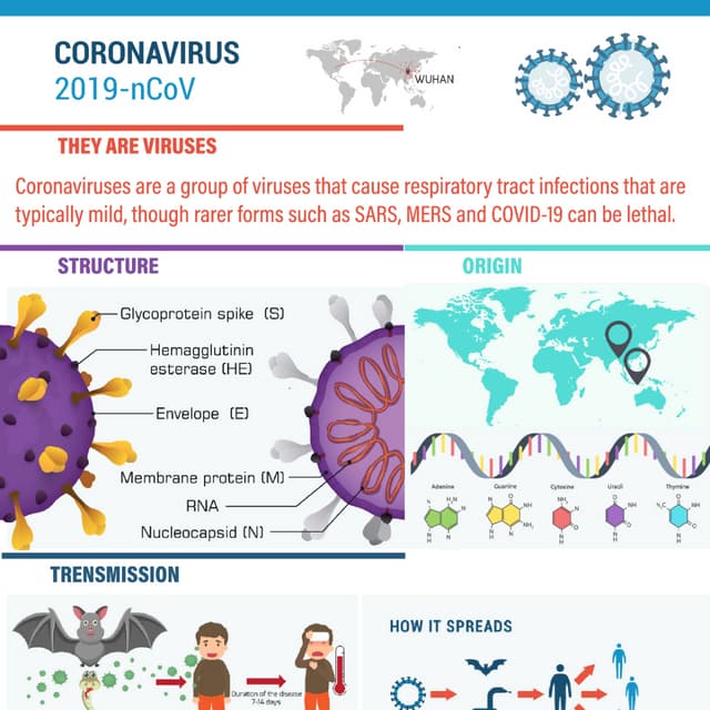 Coronavirus infographic: the facts | PDF