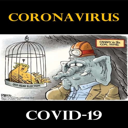 CORONA VIRUS COVID-19 False Flag Free Book