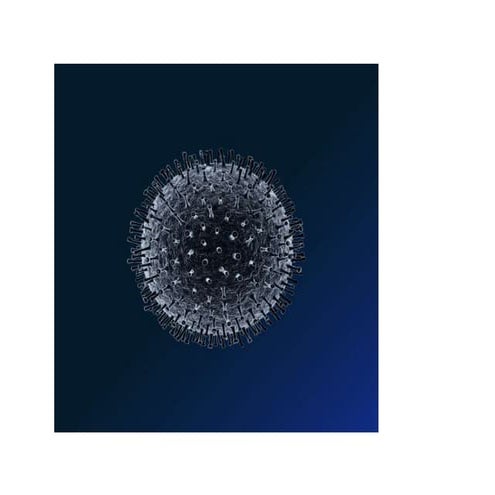 Coronavirus, your companies, and your people