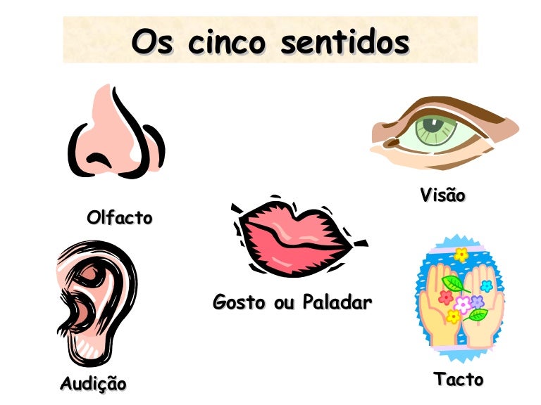 Corpo cinco.sentidos
