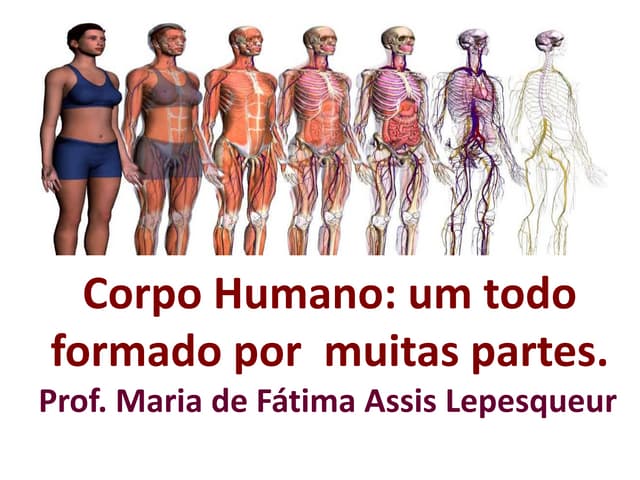 Corpo humano  um todo formado por m...