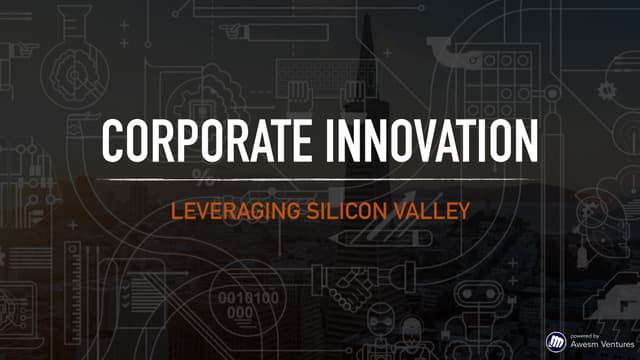 How Corporations Drive Innovation Leveraging Silicon Valley. By Tommaso Di Bartolo