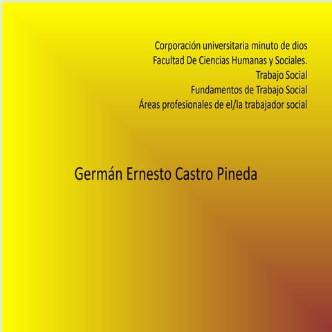 Áreas profesionales de el/la trabajador social