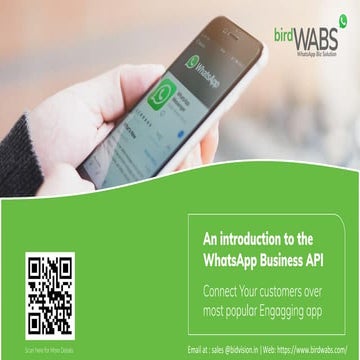 WhatsApp API Introduction
