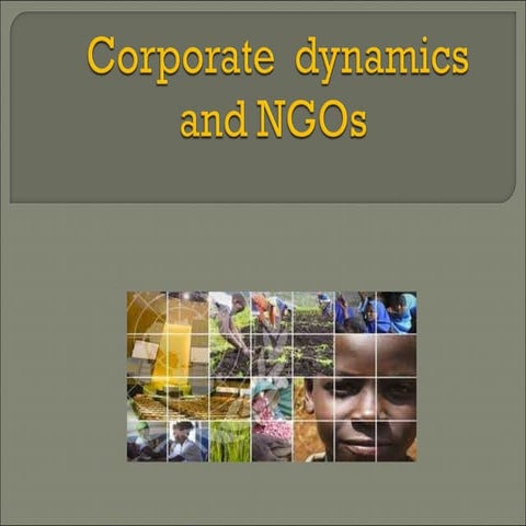 Corporate dynamics and NGOs