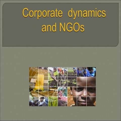 Corporate dynamics and NGOs