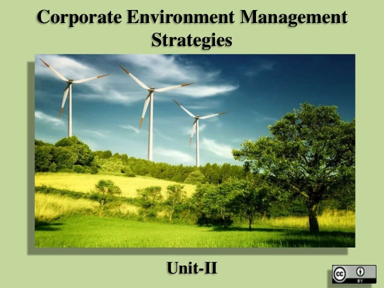 Corporate Environment Management Strategies