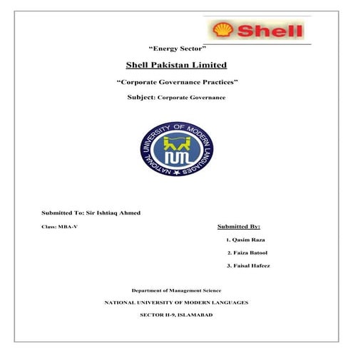 Corporate governance (shell pak)
