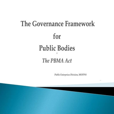 Corporate Governance Framework for Public Bodies