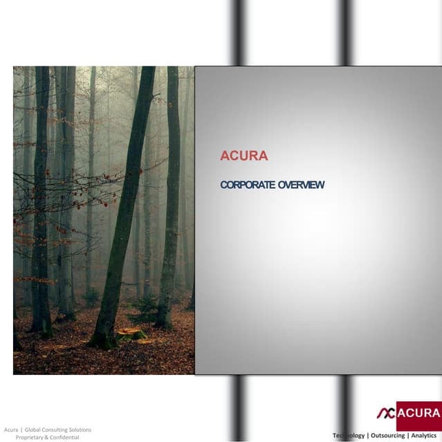 Acura Consulting