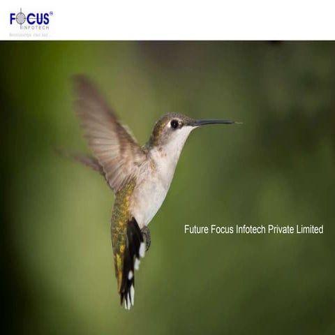 Corporate presentation 2010