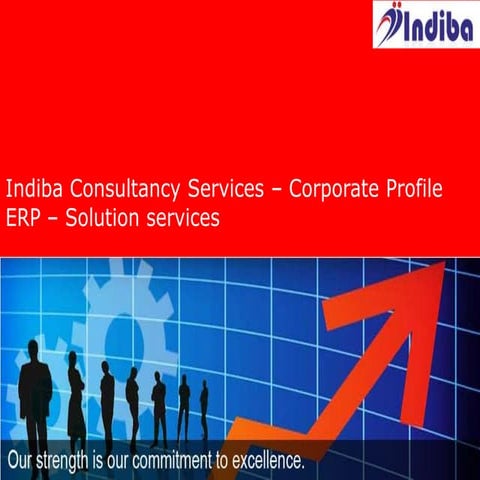 ERP Implementation by Indiba Consultancy