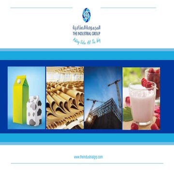 The Industrial Group Ltd. Company Profile