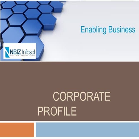 Corporateprofile nbiz