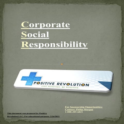 Corporate Responsibility Report Positive Revolution