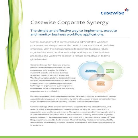 Corporate Synergy Datasheet 2009