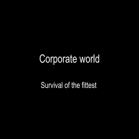 Corporate World