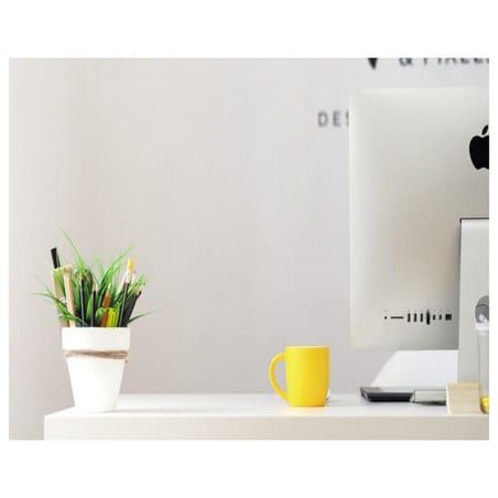  Corpus christi texas realtor