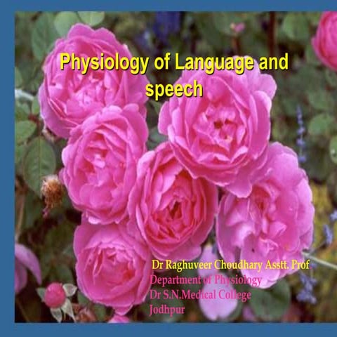 Physiology of speech