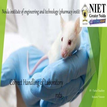 Correct handling of laboratory Rats ppt.pptx