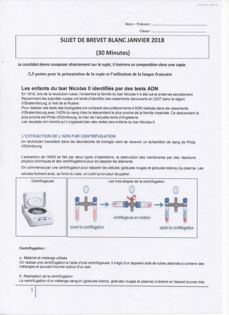 Correction sujet brevet blanc correction