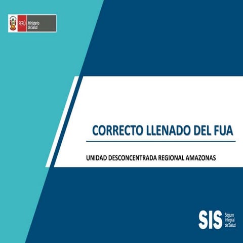 FORMATO FUA.pdf