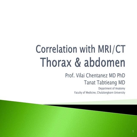 Correlation of Topographic Anatomy with Medical Imagings