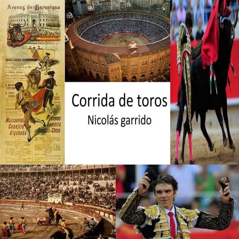 Corrida de toros