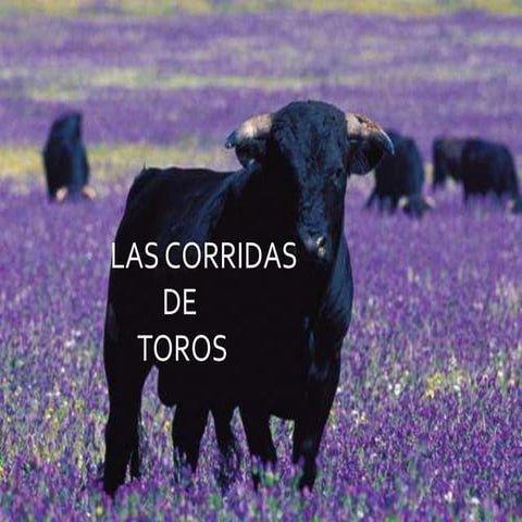 Corridas de toros