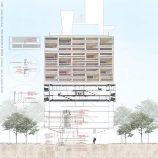 Maria Paz Lauletta - Corte UHM