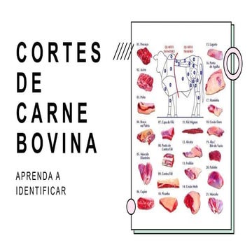 Cortes Bovino.pptx