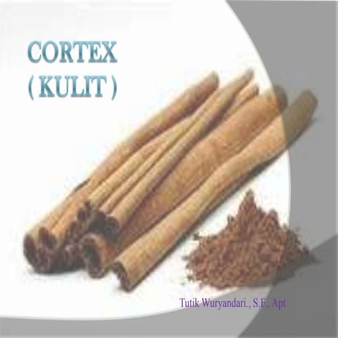 Cortex pptx | PPTX