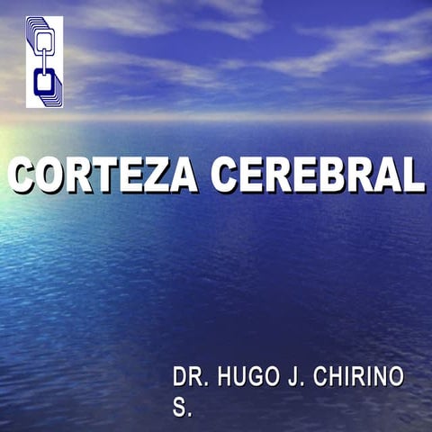 Corteza cerebral