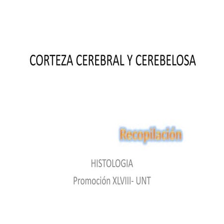 Corteza cerebral y cerebelosa