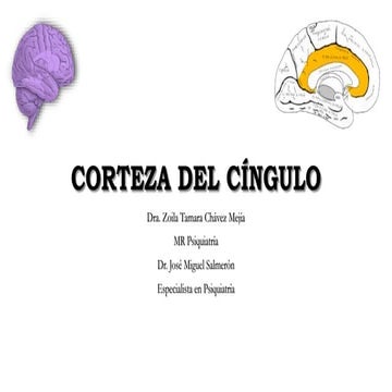 cingulate cortex | PPTX