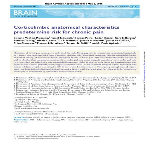 Corticolimbic anatomic characteristics predetermine risk for chronic pain.