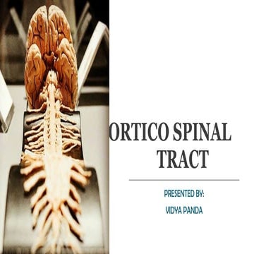 planning and coordination of motor activities