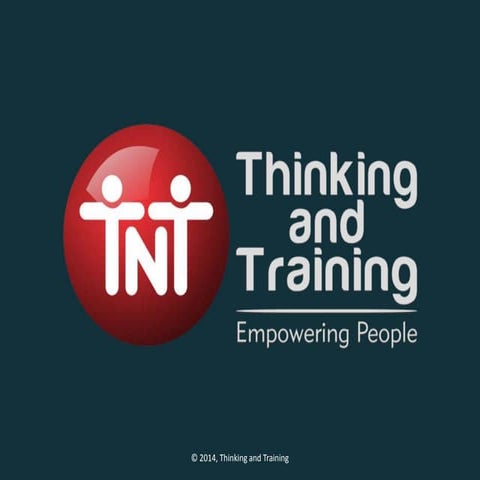 Thinking and Training company profile