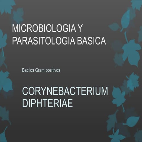 Corynebacterium diphtheriae